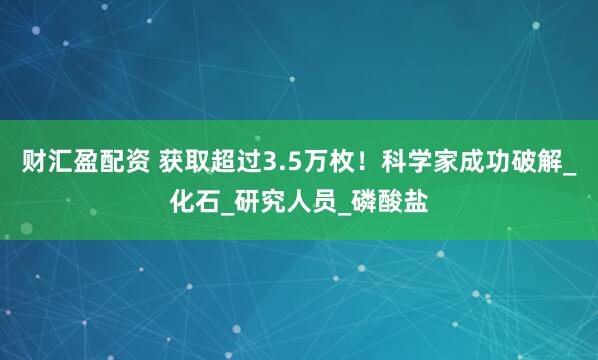 财汇盈配资 获取超过3.5万枚！科学家成功破解_化石_研究人员_磷酸盐