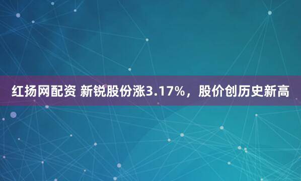 红扬网配资 新锐股份涨3.17%，股价创历史新高